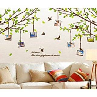   Decal Sticker   Green Tree Branches with Flying Birds & Photo Frames
