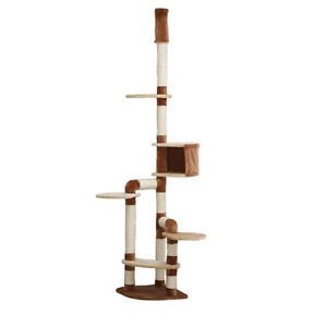 Catland Floor To Ceiling Cat Tree W Cubby Ledge And