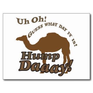 Hump Day Camel Postcards