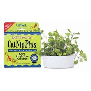 Cat About Single Cat CatNip Plus Tub 60 grams by MiracleCorp 