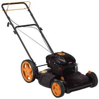   625 Series Briggs & Stratton Gas Powered FWD Self Propelled Lawn