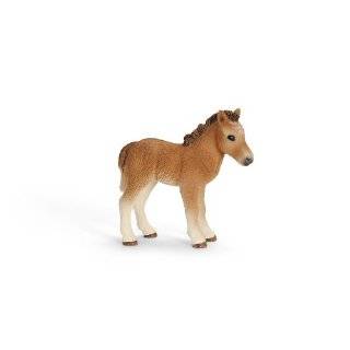  Schleich Clydesdale Foal 13671 Toys & Games