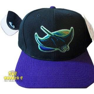  Tampa Bay Devil Rays MLB Baseball Snapback Hat: Sports 